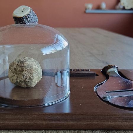 Villetta Rosso Rubino Vignale Kültér fotó